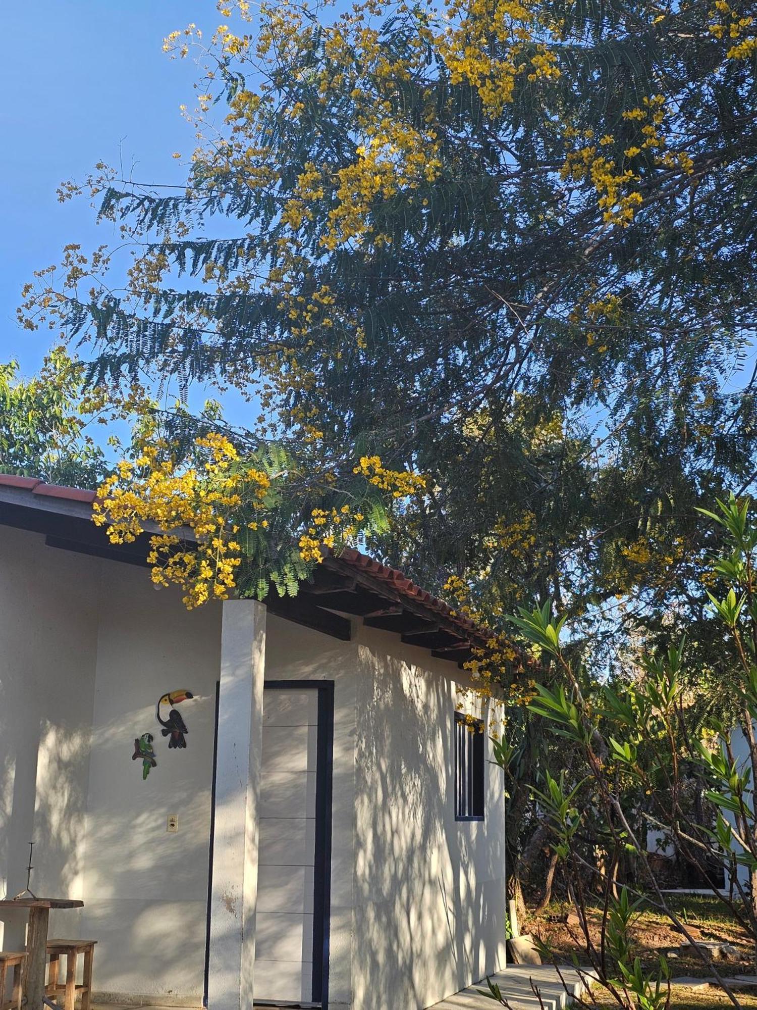 Estancia Morro Do Frota Pirenópolis Eksteriør bilde